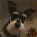 Profile Picture of Adam Avinger (@dynawide83) on Pinterest