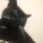 Profile Picture of Roberta Giuffrida (@robyvaltergabry) on Instagram