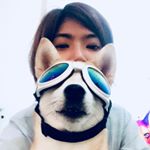 Profile Picture of coralim (@coralim) on Instagram