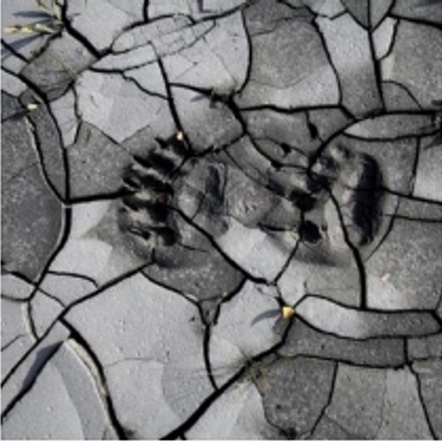 Profile Picture of Jason Dortch (@QueensThunder) on Twitter