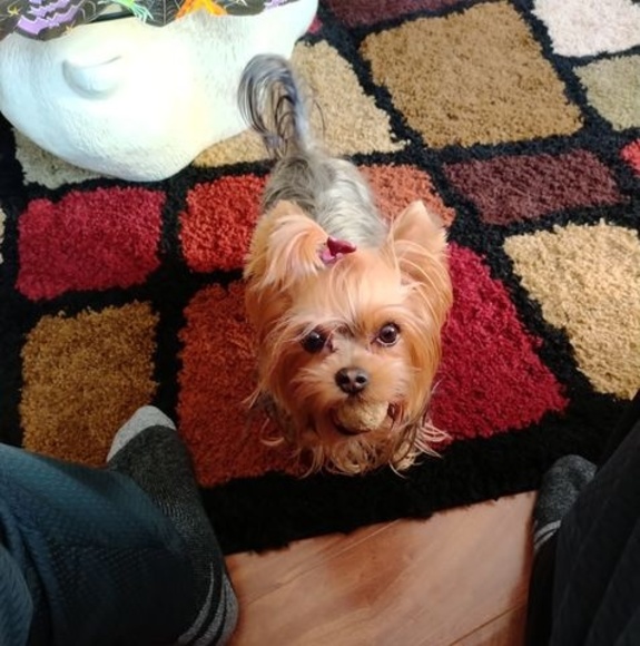 Profile Picture of Jimmy Drummond (@jimmy_drummond) on Poshmark