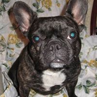 Profile Picture of Barry W. Schrecengost (@barryws) on Pinterest