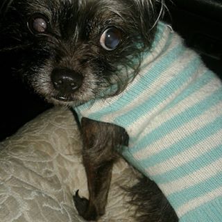 Profile Picture of Janey Hulsey (Janey morgantini) (@janey.hulsey) on Facebook