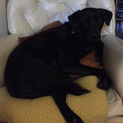 Profile Picture of Libby (@LibbyBush01) on Twitter