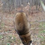 Profile Picture of joe vansant (@joevansant) on Instagram