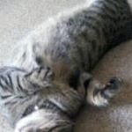 Profile Picture of Joyce Ritchie (@joyce.ritchie.5682) on Instagram