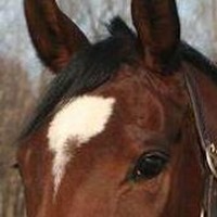 Profile Picture of Jesse Brett (@jesse-brett) on Quora