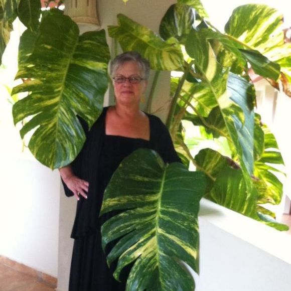 Profile Picture of Josephine Leonardo-genna (@josephineleonar) on Poshmark