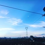 Profile Picture of Lennon_Mickey (@lennon_mickey) on Instagram