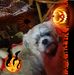 Profile Picture of Dunkin Villers (@dunkin.villers.9) on Facebook