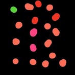 Profile Picture of Michał Barański (@Michał-Barański) on Facebook