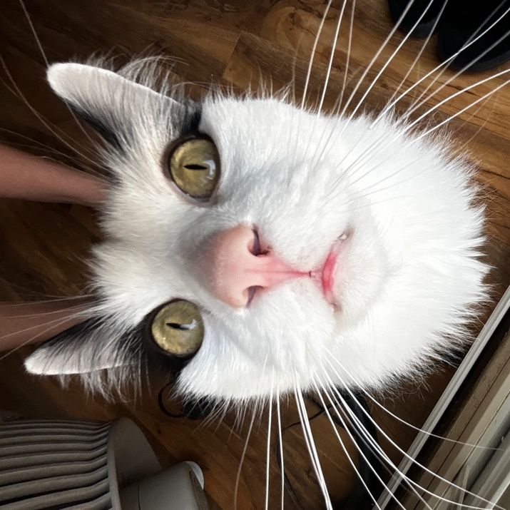 Profile Picture of Cami Petyn (@camipetyn) on Tiktok
