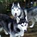 Profile Picture of Dawn Haddock (@dawn.haddock.37) on Facebook