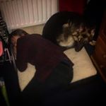 Profile Picture of Shaun_Humphreys (@shaun_182) on Instagram