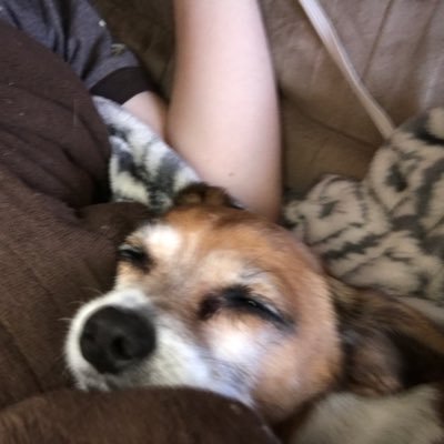 Profile Picture of Joe Kersten (@JoeKersten) on Twitter