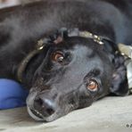 Profile Picture of Nancy Rittenhouse (@nancy.rittenhouse.98) on Facebook