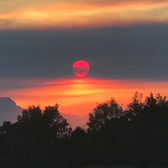 Profile Picture of Debra Calavano (@italianqueenb) on Poshmark