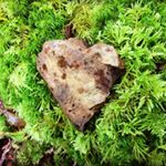 Profile Picture of Joyce Braun (@joysee49) on Instagram