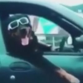 Profile Picture of Nick Salcedo (@NickSalcedo9) on Twitter