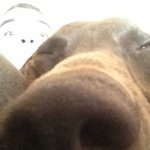 Profile Picture of Sean Henley (@henleysd05) on Instagram