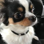 Profile Picture of Mari Takaishi (@t.mari063014) on Instagram