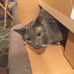 RockyBear - Twitter Profile Picture of RockyBear (@SweetRockyBear) on Twitter