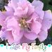 Profile Picture of Sheree Casada (@sheree.casada.3) on Facebook