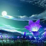 Profile Picture of Linda Duquette (@linda.duquette.106) on Instagram