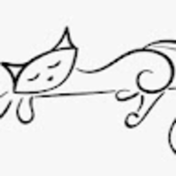 Profile Picture of Sheila Bredin (@beewilma) on Poshmark