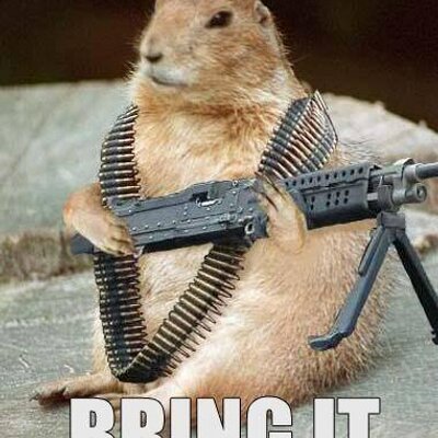 Profile Picture of Scott Finkle (@sfscott80) on Twitter