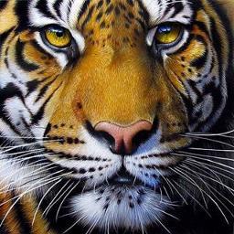 Profile Picture of Ruth Hepburn (@Ruth196039) on Twitter