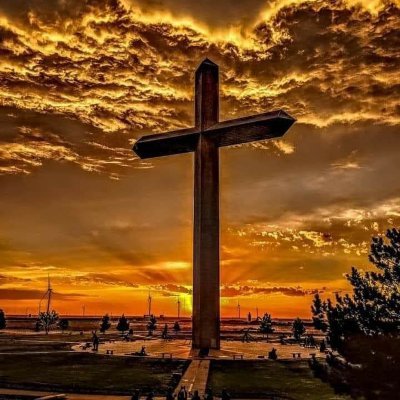 Profile Picture of Bob Brenner (@BobBrenner12) on Twitter