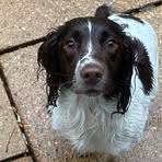 Profile Picture of Karl Fennell (@Karl-Fennell) on Facebook