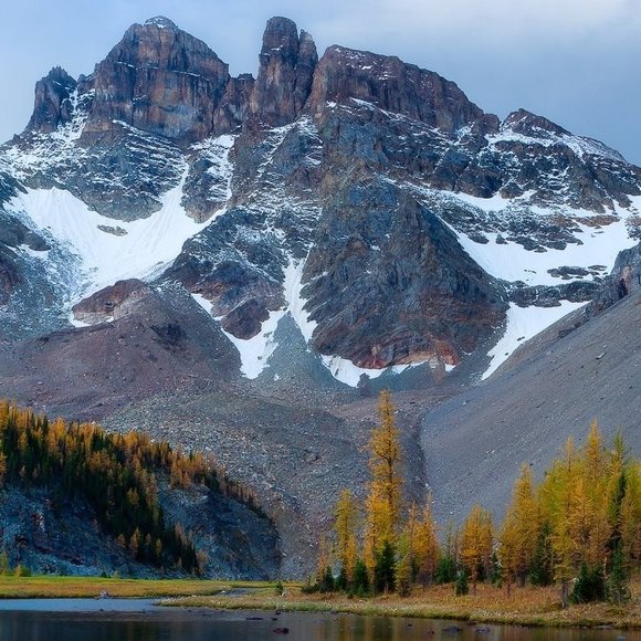 Profile Picture of James Quinn (@jamesquinn957) on Poshmark