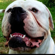 Profile Picture of Joe Weston (@joeweston5502) on Youtube