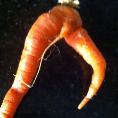 Profile Picture of Sean P Humphries (@seanhumphries) on Twitter