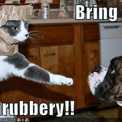 Profile Picture of Chris Heine (@HeineChris) on Twitter