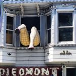 Profile Picture of Kerry Dougherty (@k.dougherty117) on Instagram