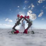 Profile Picture of Tara Brett Bartholomai (@tararoberts2202) on Instagram