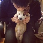 Michael Lee - Instagram Profile Picture of Michael Lee (@mike.s.lee) on Instagram