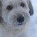 Profile Picture of Linda Froysland (@lfroysland) on Pinterest