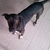 Profile Picture of Cheryl Best (@cherylbest3417) on Youtube