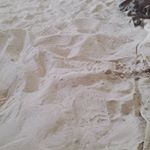 Profile Picture of Luke Swanson (@hebeluke) on Instagram