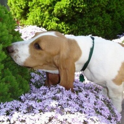 Profile Picture of Sara Crabbe (@stclaire22) on Twitter