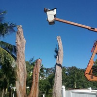 Profile Picture of Adam Thiele (@adam-thiele) on Quora