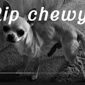 Profile Picture of Jacob Markovich Clips (@jacobmarkovichclips1709) on Youtube