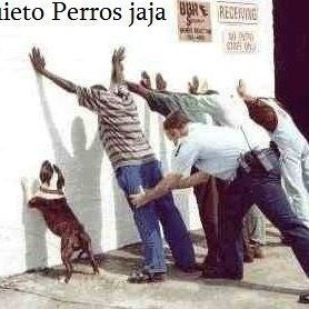 Gensel David Tovar (gensel) - Facebook Profile Picture of Gensel David Tovar (gensel) (@gensel.tovar) on Facebook