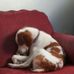 Profile Picture of William Boden (@william.boden.921) on Facebook