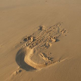 Profile Picture of David Gordon (@david.gordon.73550) on Facebook