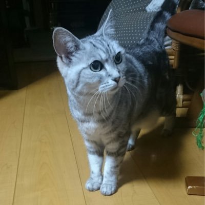 Profile Picture of 北海道教育大学釧路校 日本舞踊部 (@hokkyo_nichibu) on Twitter